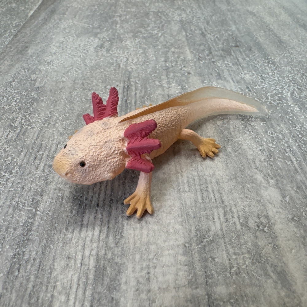 2024 NEW Collecta Animal Toy / Figure Axolotl